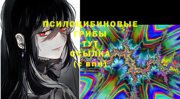 мяу мяу мука Няндома
