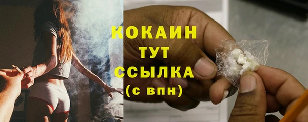 мяу мяу мука Няндома