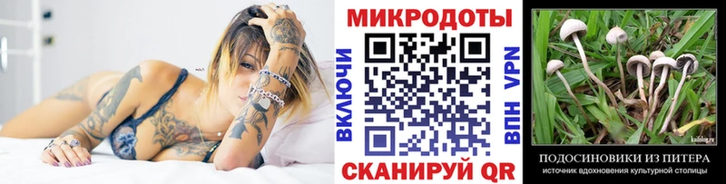 blacksprut зеркало Староминская Псилоцибиновые грибы ЛСД хочу наркоту